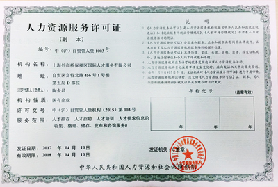 上海信息咨詢服務 專業導航，智啟未來